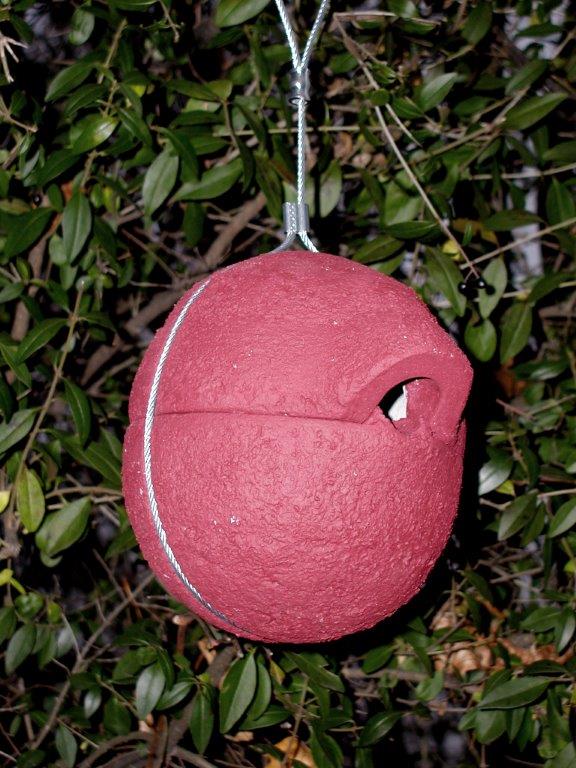 Winterkoninkjesbol 1ZA-Rood - Afbeelding 2