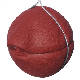 Winterkoninkjesbol 1ZA-Rood